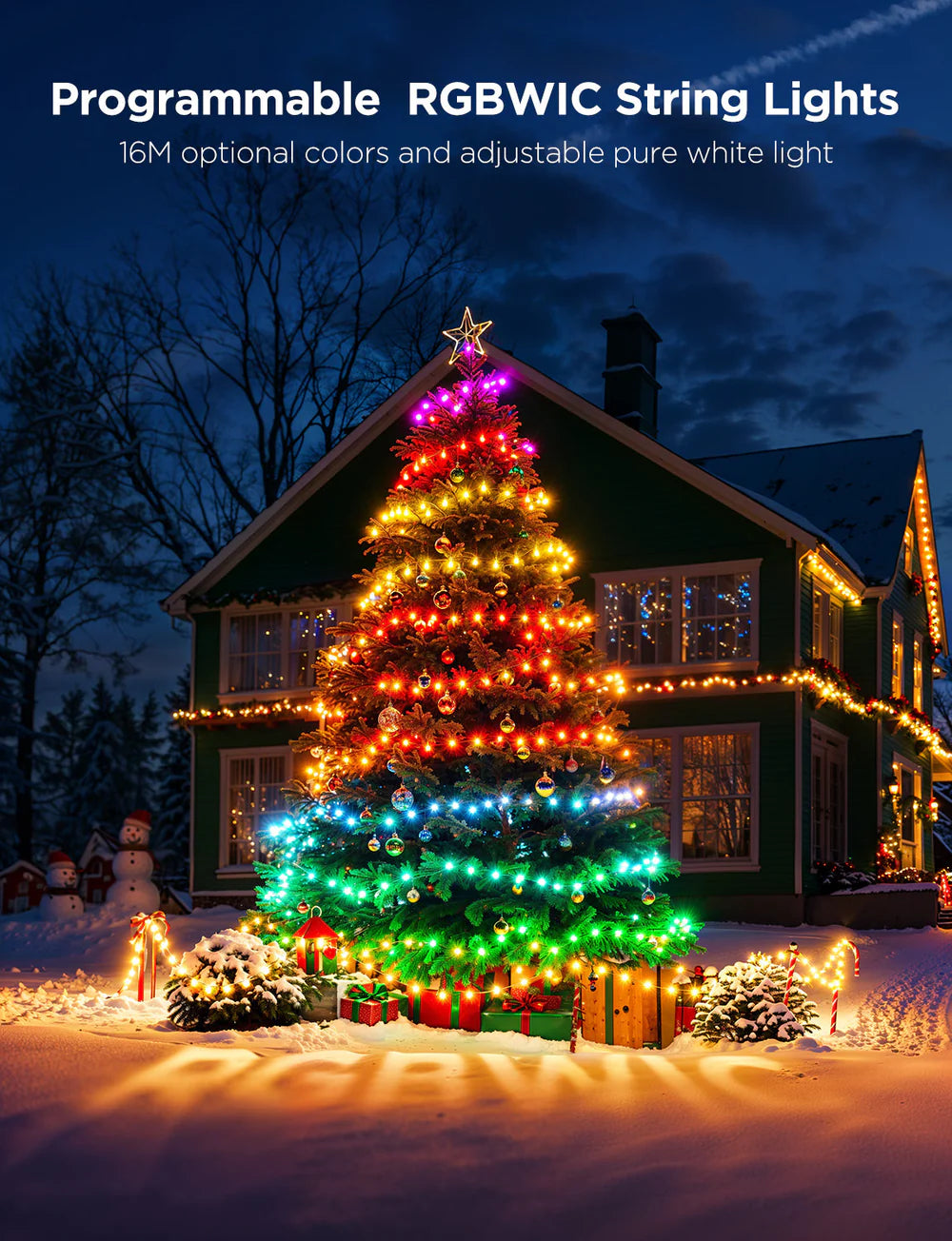 GOVEE STRING LIGHTS 2