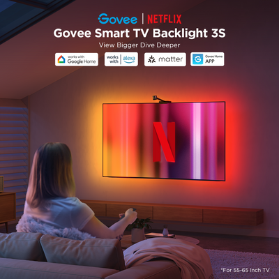 GOVEE TV BACKLIGHT 3S NETFLIX CO BRANDING