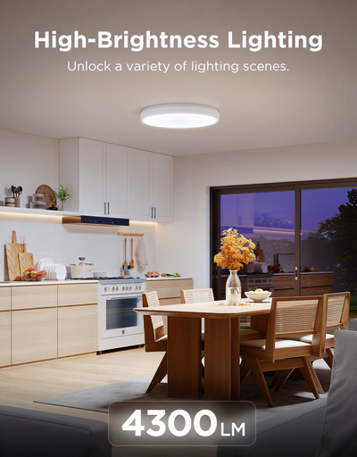 SMART CEILING LIGHT