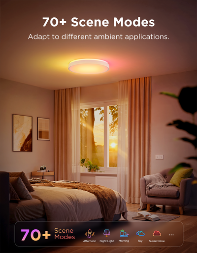 SMART CEILING LIGHT
