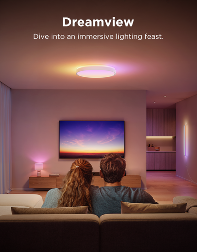 SMART CEILING LIGHT