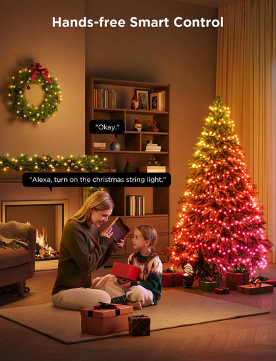 GOVEE STRING LIGHTS 2