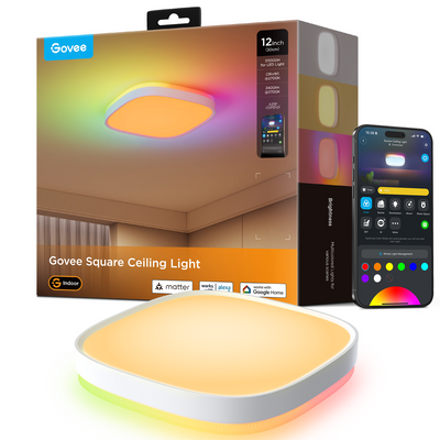 SMART CEILING LIGHT
