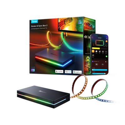 GOVEE AI SYNC KIT 2