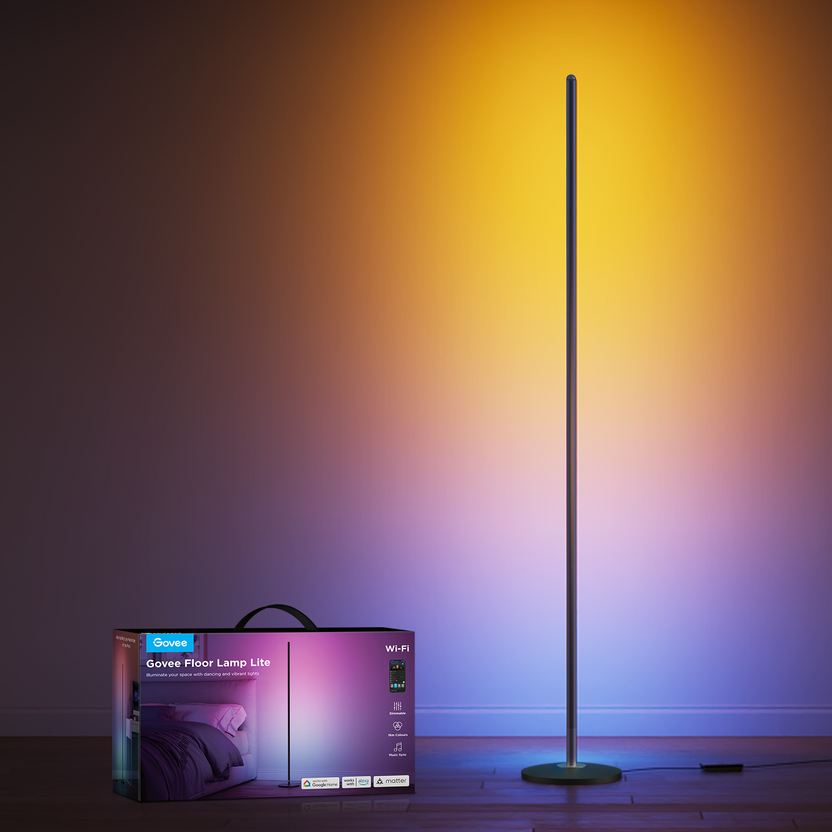 GOVEE FLOOR LAMP LITE