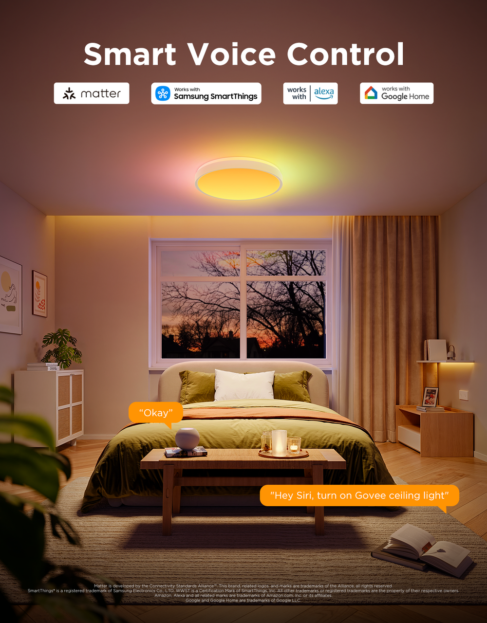 SMART CEILING LIGHT