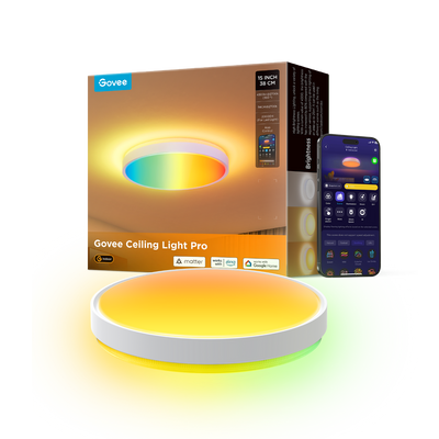 SMART CEILING LIGHT