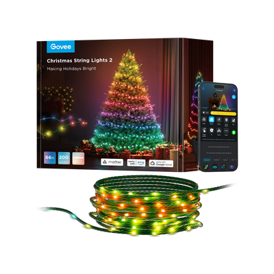 GOVEE STRING LIGHTS 2