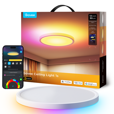 SMART CEILING LIGHT