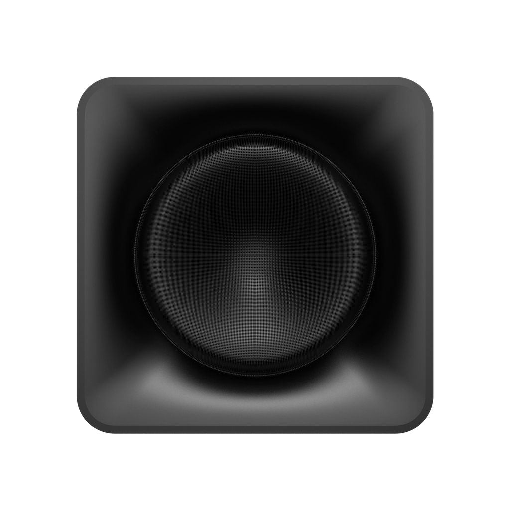 Flexus 10" Subwoofer