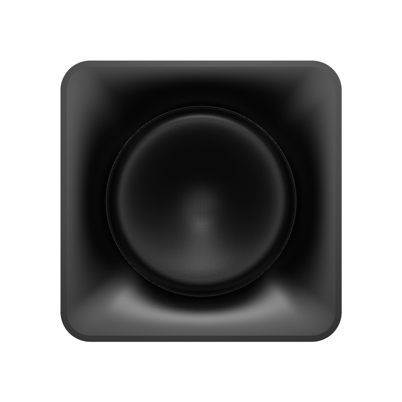 Flexus 10" Subwoofer