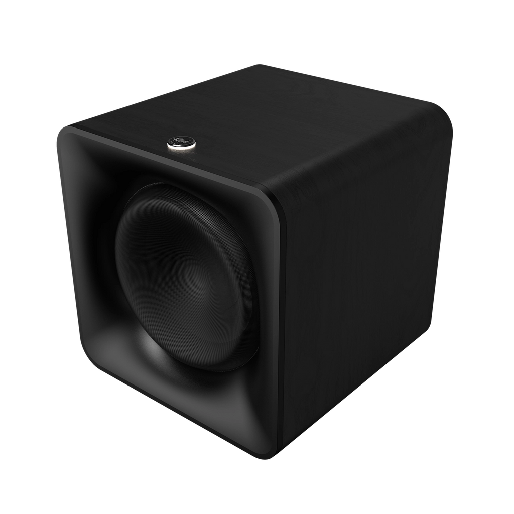 Flexus 10" Subwoofer