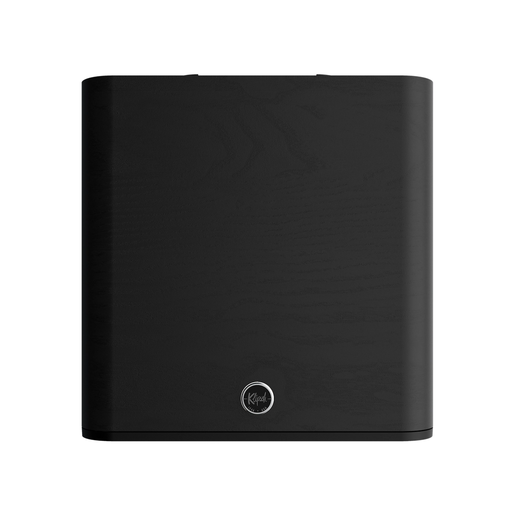 Flexus 10" Subwoofer