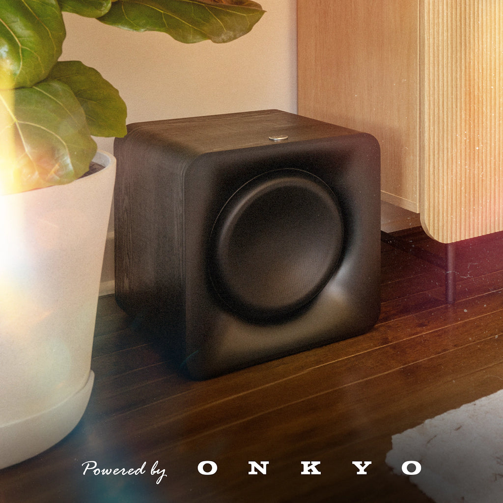 Flexus 10" Subwoofer