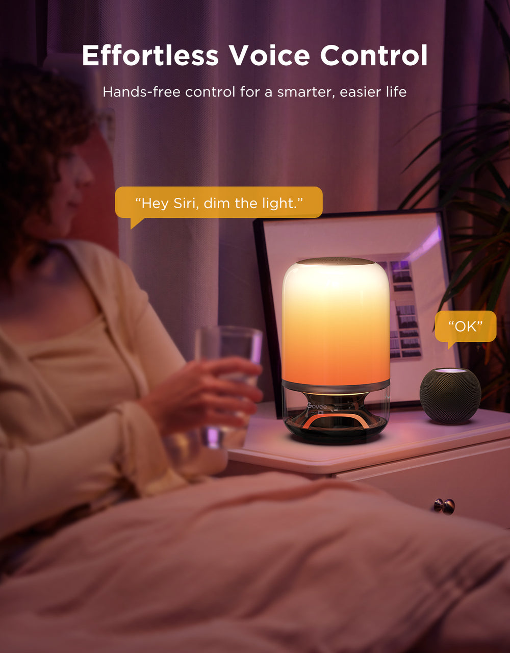 GOVEE TABLE LAMP 2 PRO × SOUND BY JBL