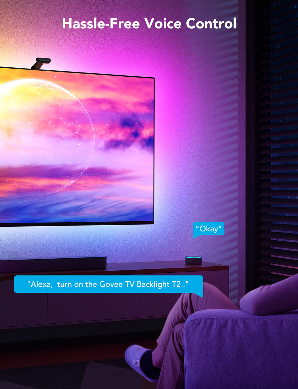 GOVEE ENVISUAL TV BACKLIGHT T2
